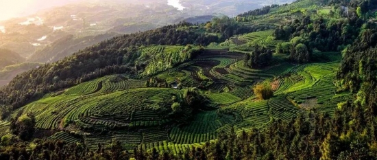 美麗島多焦鏡：這個(gè)明凈新春，以時(shí)間為軸，扶搖直上